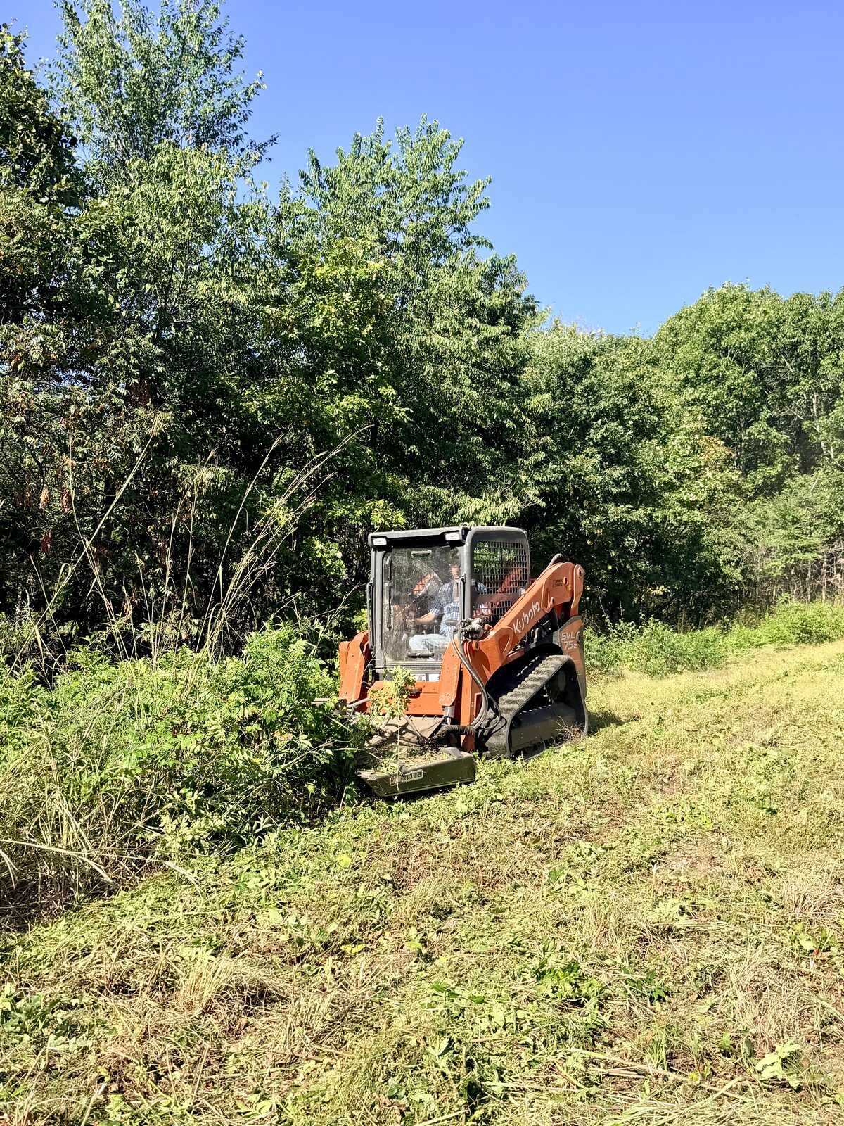 Skid steer brush hogging overgrown pasture in Northwest Arkansas